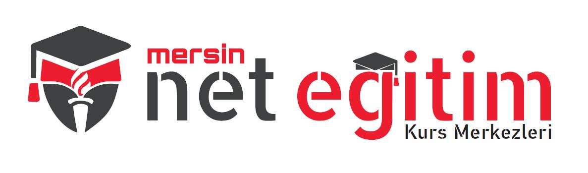 MERSİN NET EĞİTİM - Sınav Kayıt Logo